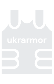 Бойові сорочки