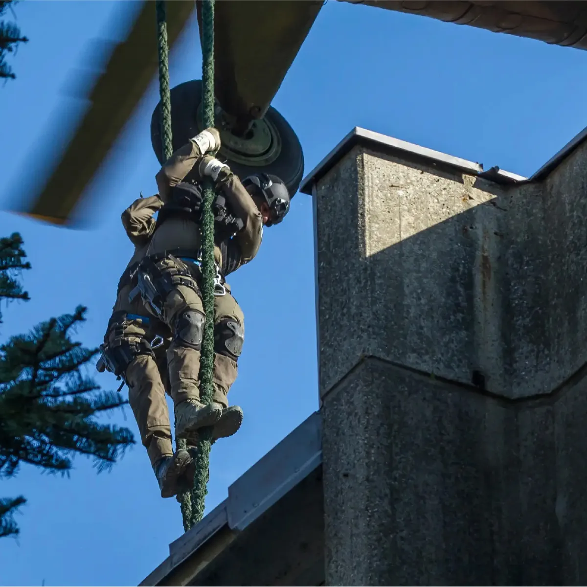 Тактические ботинки Lowa Zephyr Mk2 MID TF. Coyote OP 13